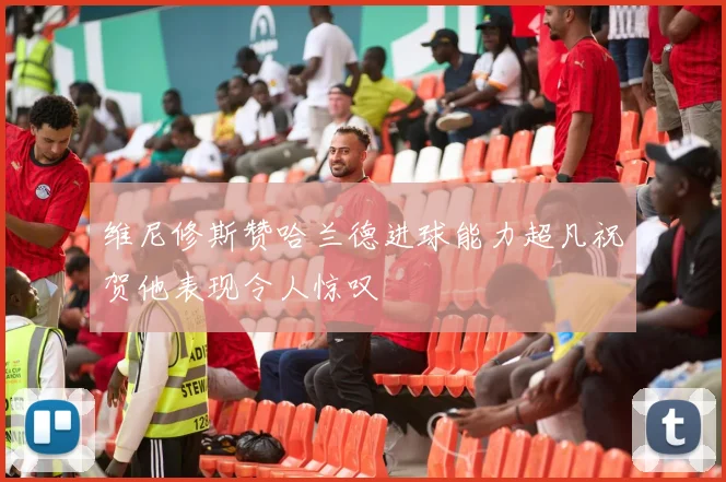 维尼修斯赞哈兰德进球能力超凡祝贺他表现令人惊叹