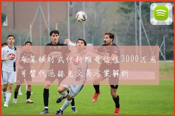 布莱顿对武什科维奇估值3000万或可替代范赫克交易方案解析