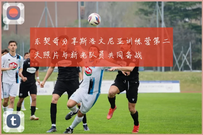 东契奇分享斯洛文尼亚训练营第二天照片与新老队员共同备战